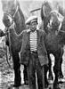 HALLETT, Dalton - with horses